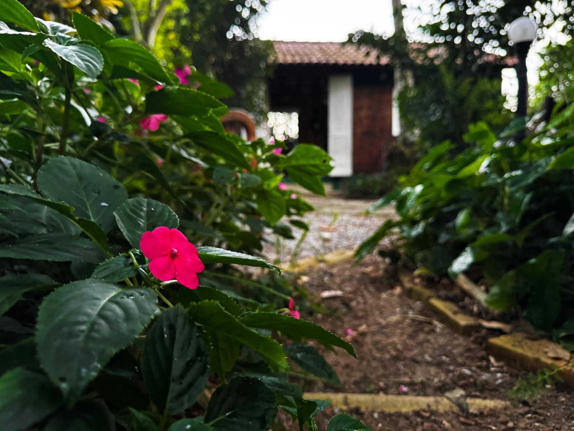 Joaoemaria Da Ilha Hotel Praia de Aracatiba Exterior photo